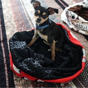 Dog puppy snuggle sack blanket